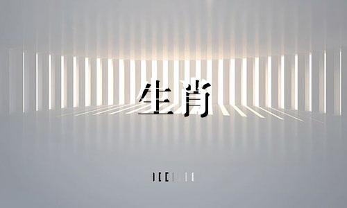 1994年狗年出生的人一生运势是准确的。 1994年狗年出生的人一生运势是准确的。