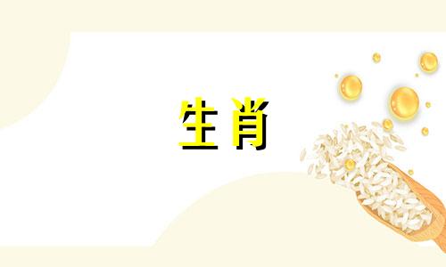 1996年，鼠年出生的男生事业上似乎得到了贵人的帮助。