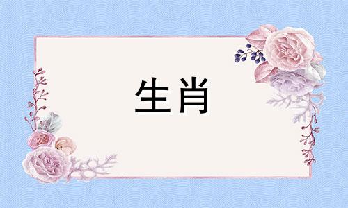 2022年属兔与羊的组合，一般会带来稳定、顺利的财运。