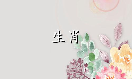 属龙的幸运颜色是什么?黄色、红色、棕色