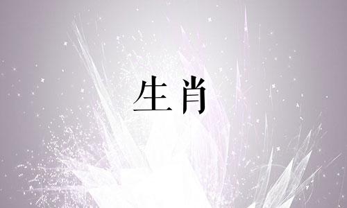 属狗的男人最珍惜什么样的女人？与属狗男人形影不离的女人