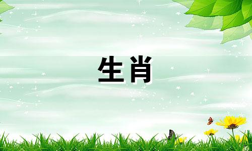 属兔和属龙相配吗？属兔和属龙相配吗？