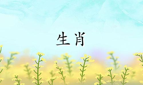 1994年的狗和96年的虎相配吗？属虎为什么喜欢狗？