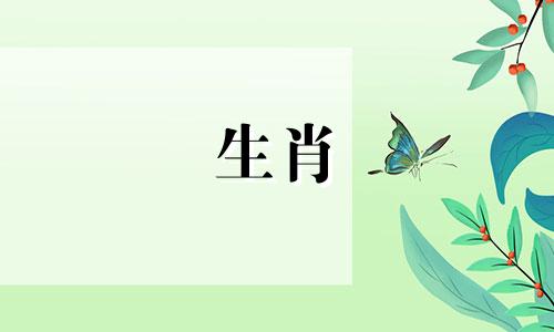 1984年37岁的属鼠女，运气不错，整体生活有了很大的改善。