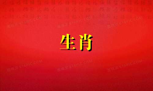 1996年出生的属鼠人和1994年出生的属狗的人是否有高度相关性和吸引力?