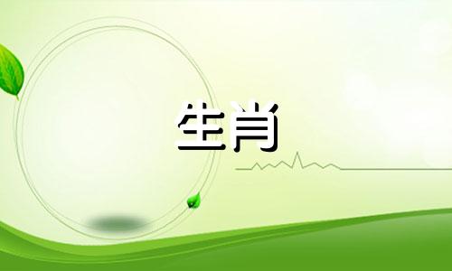 1998年，属虎的白羊座事业运和整体运势都不错。