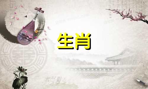 是2023年的金兔吗？水的五行是水兔。