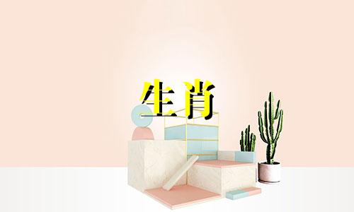 63岁出生的属兔男今年婚姻有责任心，幸福美满，长久。