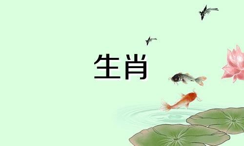 属兔和属鸡的生肖相配吗？配对指数低，有两心。