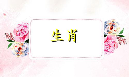 迎接牛年的2021年属牛人的运势如何？今年不要放弃自己。