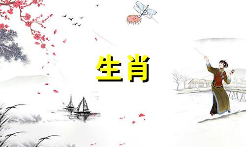 1996年，鼠年，今年运气不错。抓住恋爱的机会。