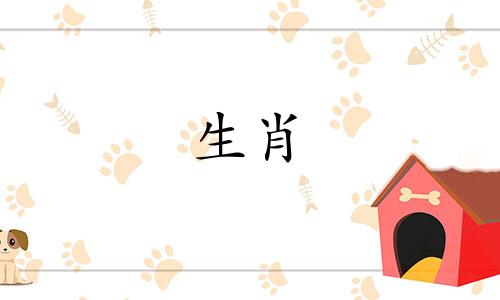 属牛人最适合与哪些生肖合作生财呢？