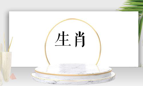 2022年,虎、蛇五行命理发展,婚姻生活、爱情、幸福相得益彰。