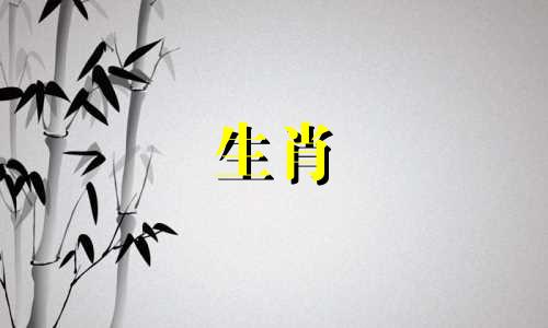 羊年出生的人和狗年出生的人在一起会发生什么？