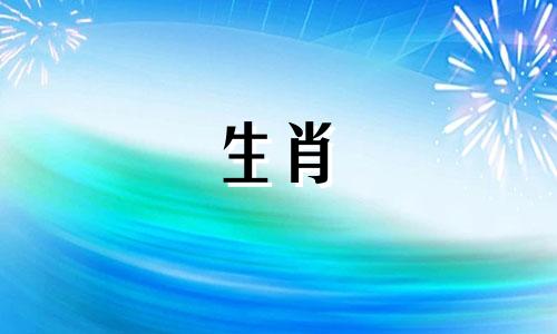92 男猴和94 女狗配吗?他们互相欣赏,过着有思想的生活。