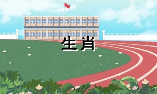 鼠年姻缘72年，家庭和睦幸福