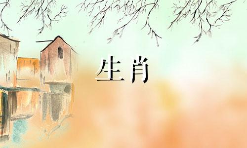 1974年出生的属虎人今年47岁，运势低迷，生活压力大。