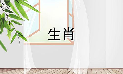 属龙人2022年全年运势详解。属龙人2022年运势完整版。