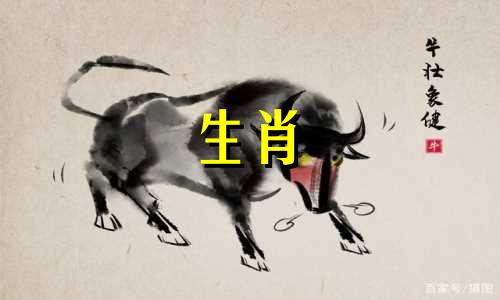 1970年出生的属狗人51岁以后的命运 1970年属狗人后半生的命运