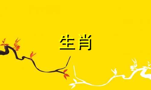 属龙年出生的男孩如果是亥年出生的，运气好，有耐心。