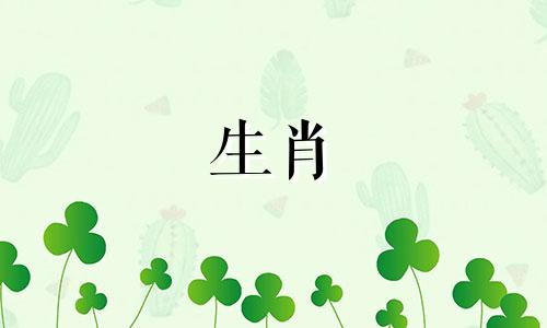 1999年出生的属兔人和1991年出生的属羊人的婚姻比较如何？