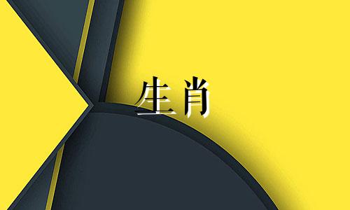 属龙人佩戴什么样的吊坠最好？琥珀吊坠可以改善运势。