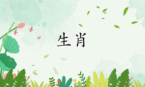 属牛人一生中贵人会解决燃眉之急。