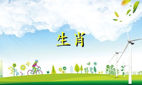 1972年最佳婚姻：属鼠男和属龙女，婚姻积极乐观