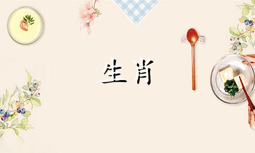 1998年，属虎人的生活会遭遇灾难。 1998年将会给属虎人带来三灾。