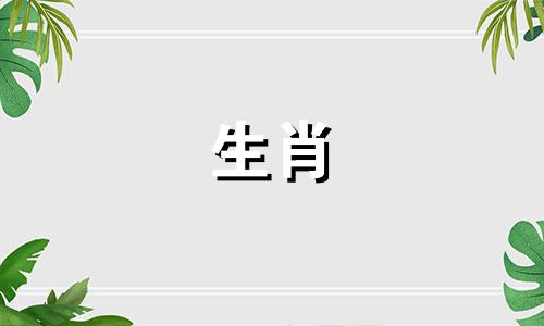 哪些动物与属鼠不相配，如羊、兔、马？