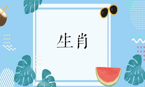 1972年属鼠人适合做生意吗？ 2022年可以创业吗？