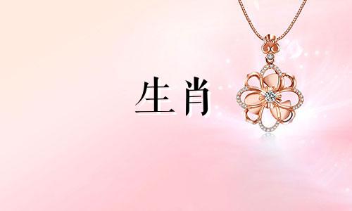 50岁属鼠人2022年运势如何？