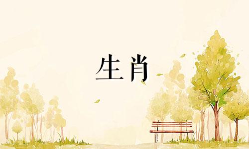 1964年属龙人后半生命运 1964年属龙人命运