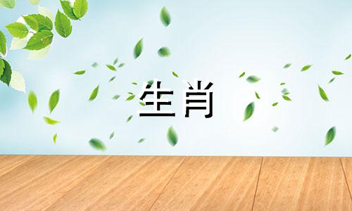 属马人2022年婚姻事业运势 属马人2022年感情运势