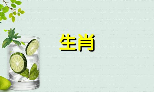 属鼠和属牛的人适合结婚吗？