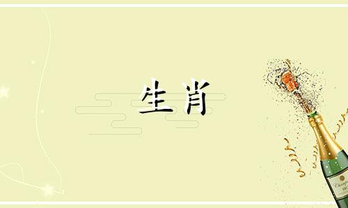 1980年,属猴人哪一年运气好? 2020年鼠年,2024年属龙年,2025年蛇年