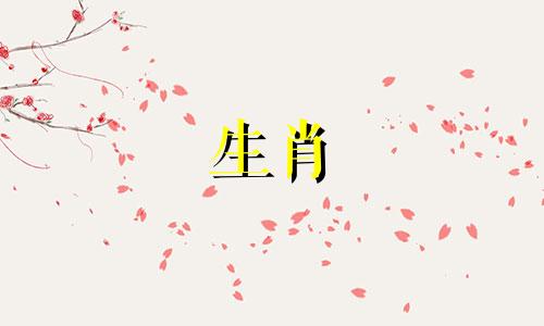 50岁属鼠人2022年的运势。 72岁的属鼠人今年的运气和财富。