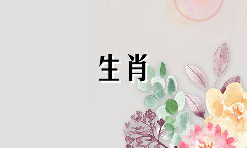 属猴和属狗的人配吗?属猴的人和属狗的人配吗?