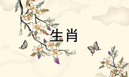 2022年属兔女性全年运势