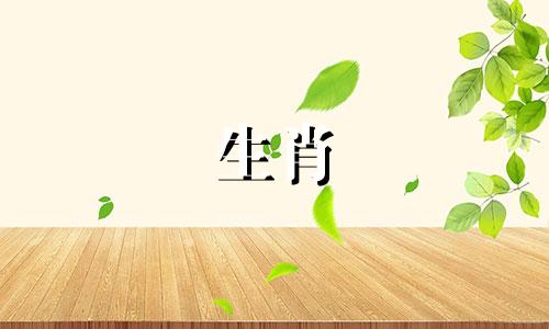 属兔人哪一年的运势最好？属兔人哪一年运气好？