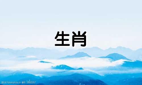 属羊的人年龄分别是43岁和79岁。 1979年出生的属羊人2022年运势