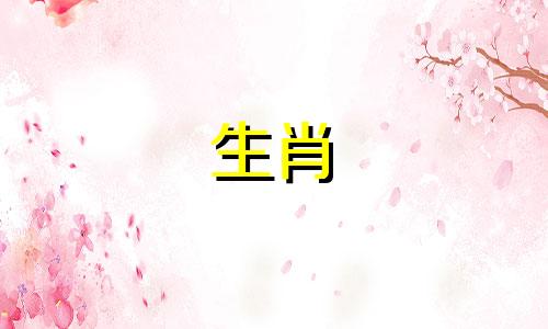 2004年生肖猴的永久幸运色