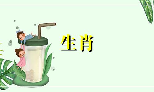 马与蛇的婚姻能长久吗?马和蛇的人会变得越来越富有吗?