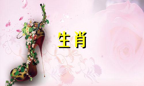 1987年属兔人永久幸运色。属兔人最旺的颜色。