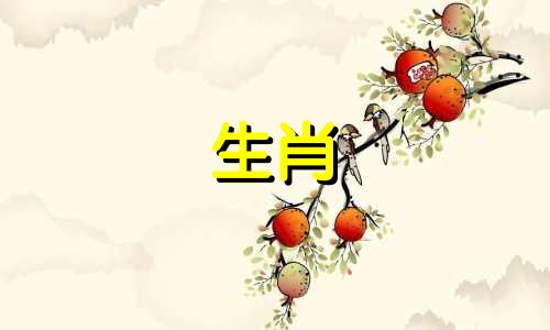 羊年的人应该穿什么衣服才能带来好运呢？