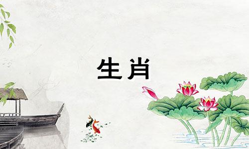 1981年属鸡人40-49岁运势详解