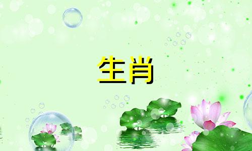 兔八十七岁,富贵竹枝,财源广进