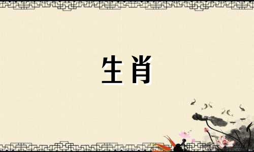 马生肖：最有力量、最精明的生肖