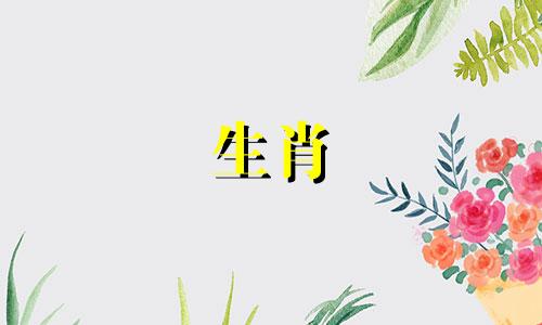 属虎是哪一年出生的? 1998年,小属虎们运气不错。