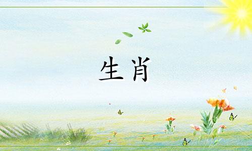 1997年，24岁的牛年出生的人在太岁年运势不佳。